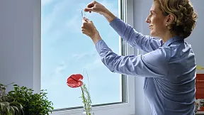 colgado facil con nuestros ganchos adhesivos tesa